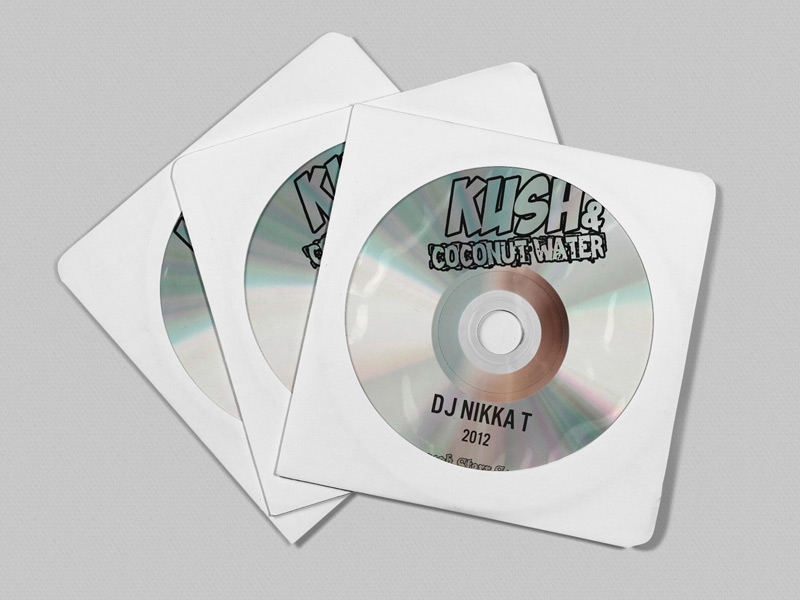 500 Promo CDs for $350